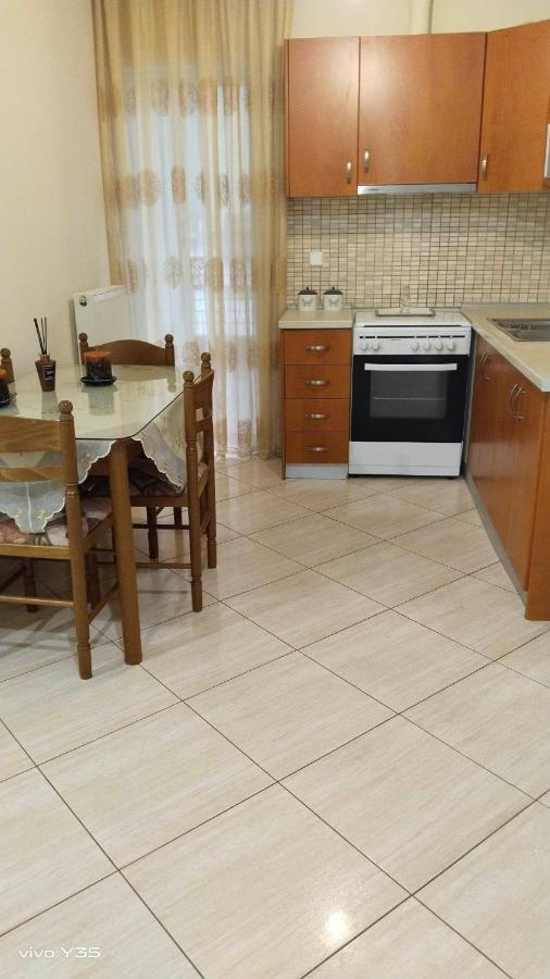 特里卡拉Ομορφο Διαμερισμα Στο Κεντρο Της Πολης Με Παρκιν公寓 外观 照片