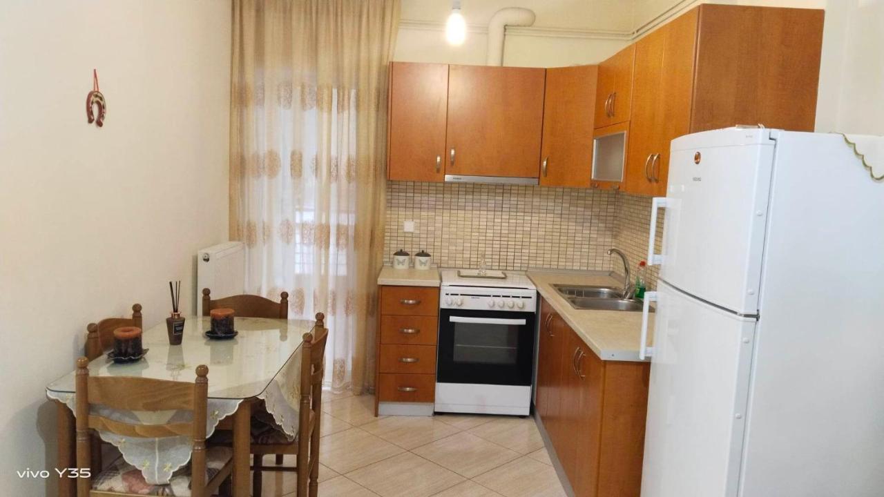 特里卡拉Ομορφο Διαμερισμα Στο Κεντρο Της Πολης Με Παρκιν公寓 外观 照片